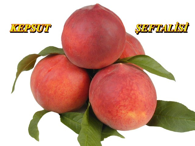 Kepsut