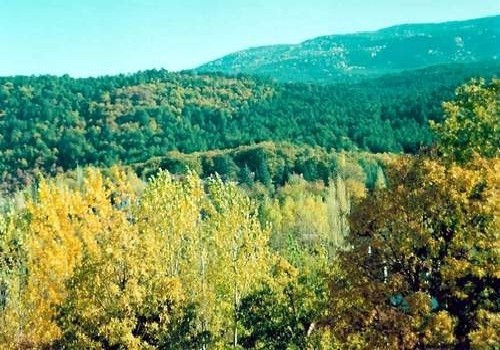 Sındırgı