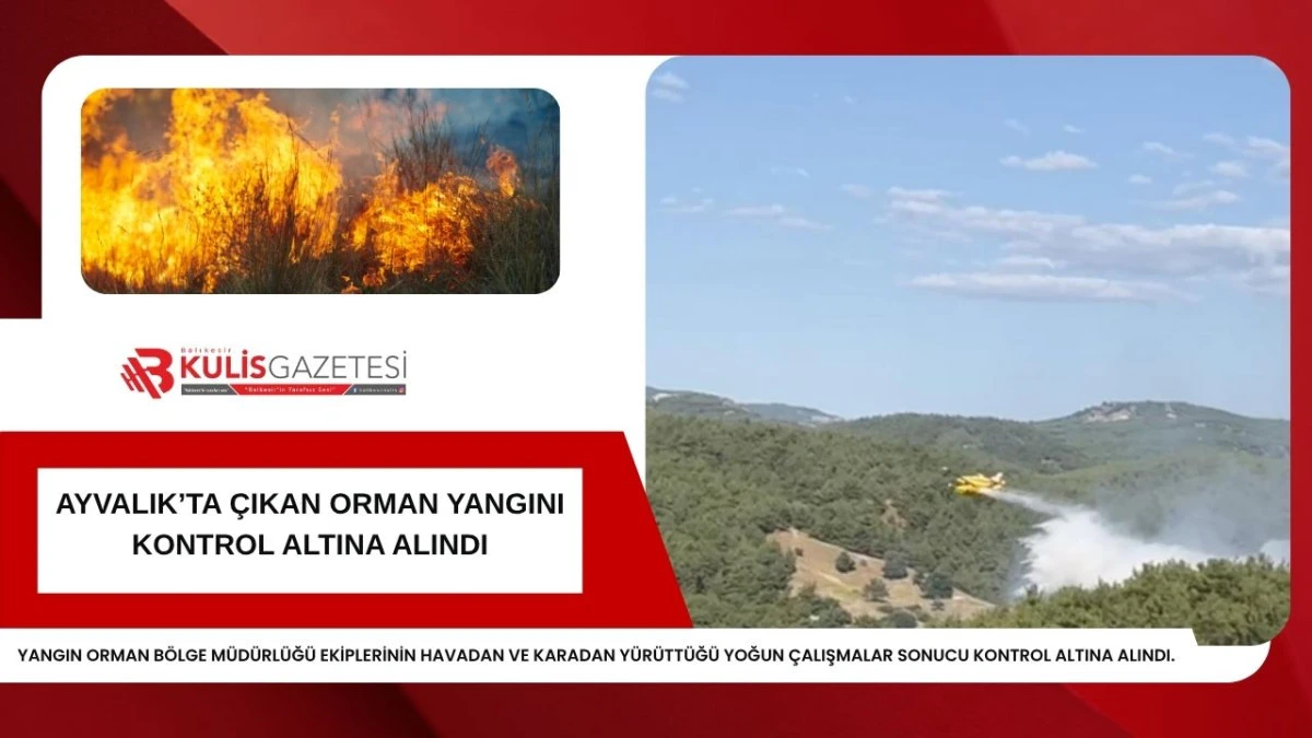 AYVALIK'TA &Ccedil;IKAN ORMAN YANGINI KONTROL ALTINA ALINDI