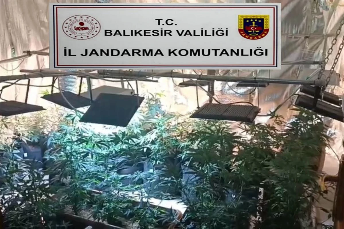Balıkesir&rsquo;de Jandarmadan Uyuşturucu Operasyonu: 12 Ş&uuml;pheli Yakalandı