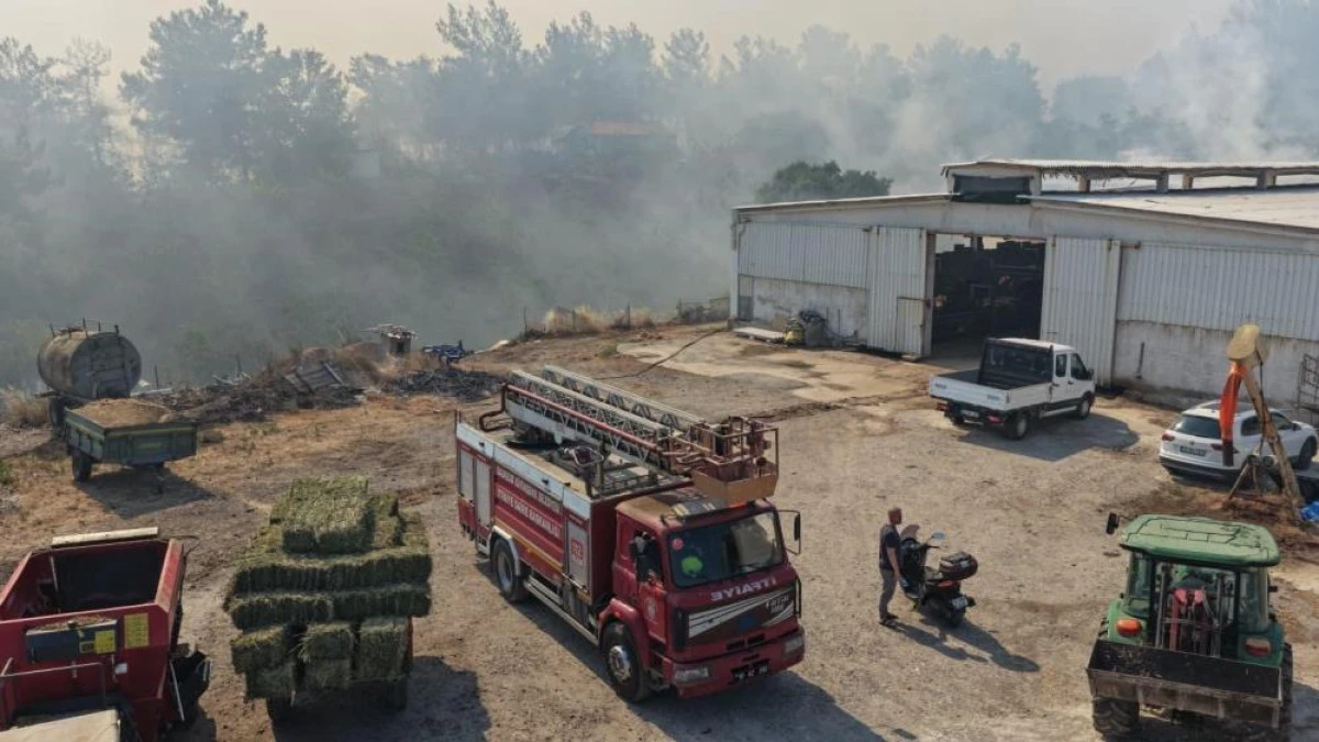 Balıkesir'de &uuml;&ccedil; ayrı noktada yangın korkuttu!