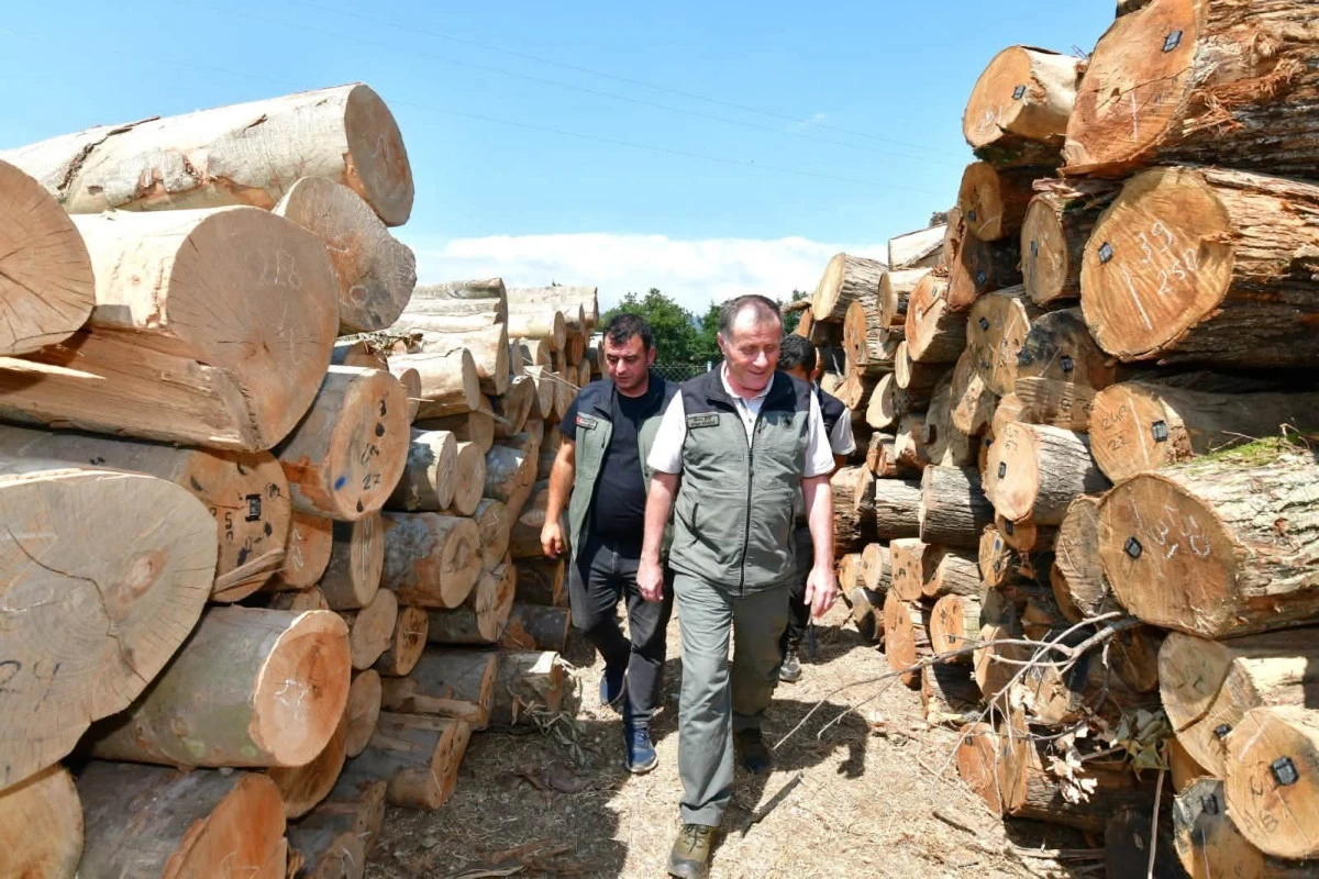 Bandırma Orman İşletme M&uuml;d&uuml;rl&uuml;ğ&uuml;ndeki &ccedil;alışmalar yerinde incelendi
