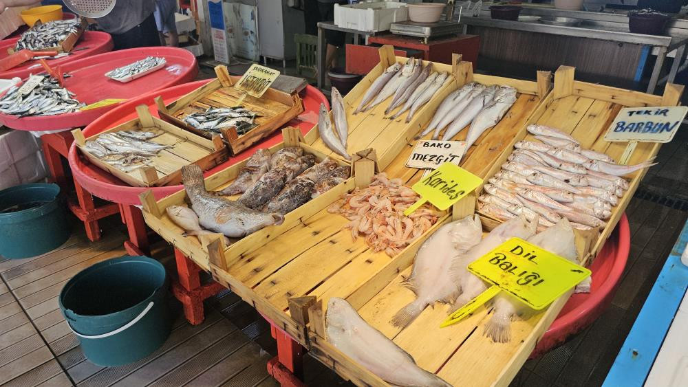 Bandırma'da mevsim balığı olan sardalyaya yoğun talep