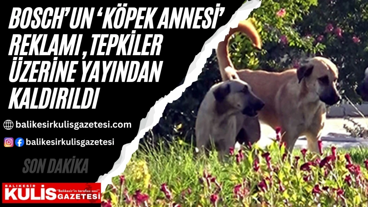Bosch&rsquo;un &lsquo;k&ouml;pek annesi&rsquo; reklamı, tepkiler &uuml;zerine yayından kaldırıldı