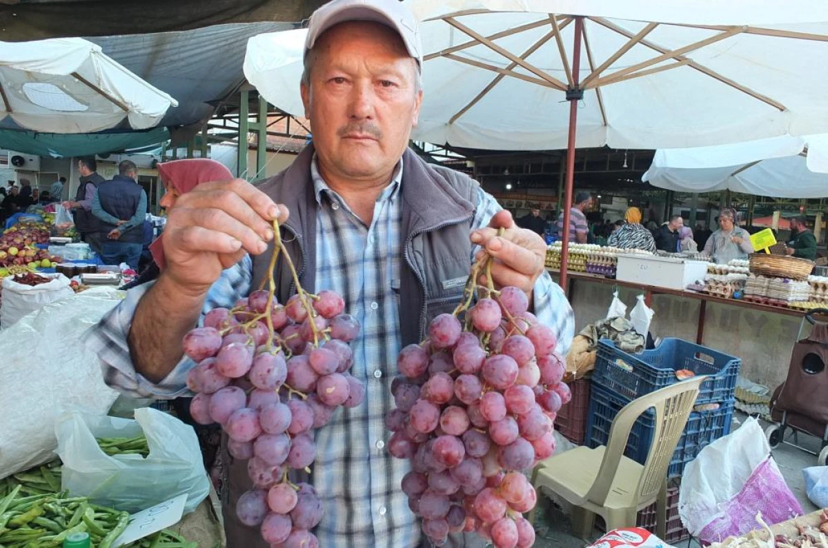 Burhaniye'de organik &uuml;z&uuml;mler ilgi g&ouml;rd&uuml; 