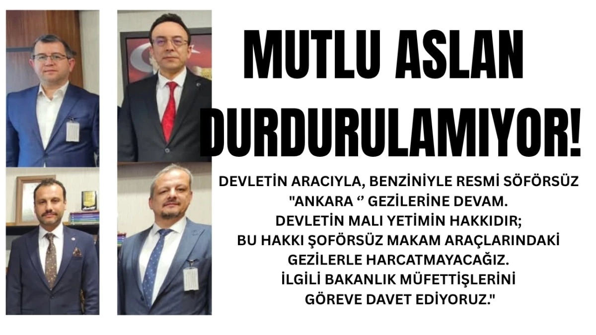 MUTLU ASLAN DURDURULAMIYOR!