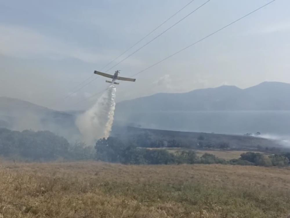 Paşalimanı Adası’nda yangın