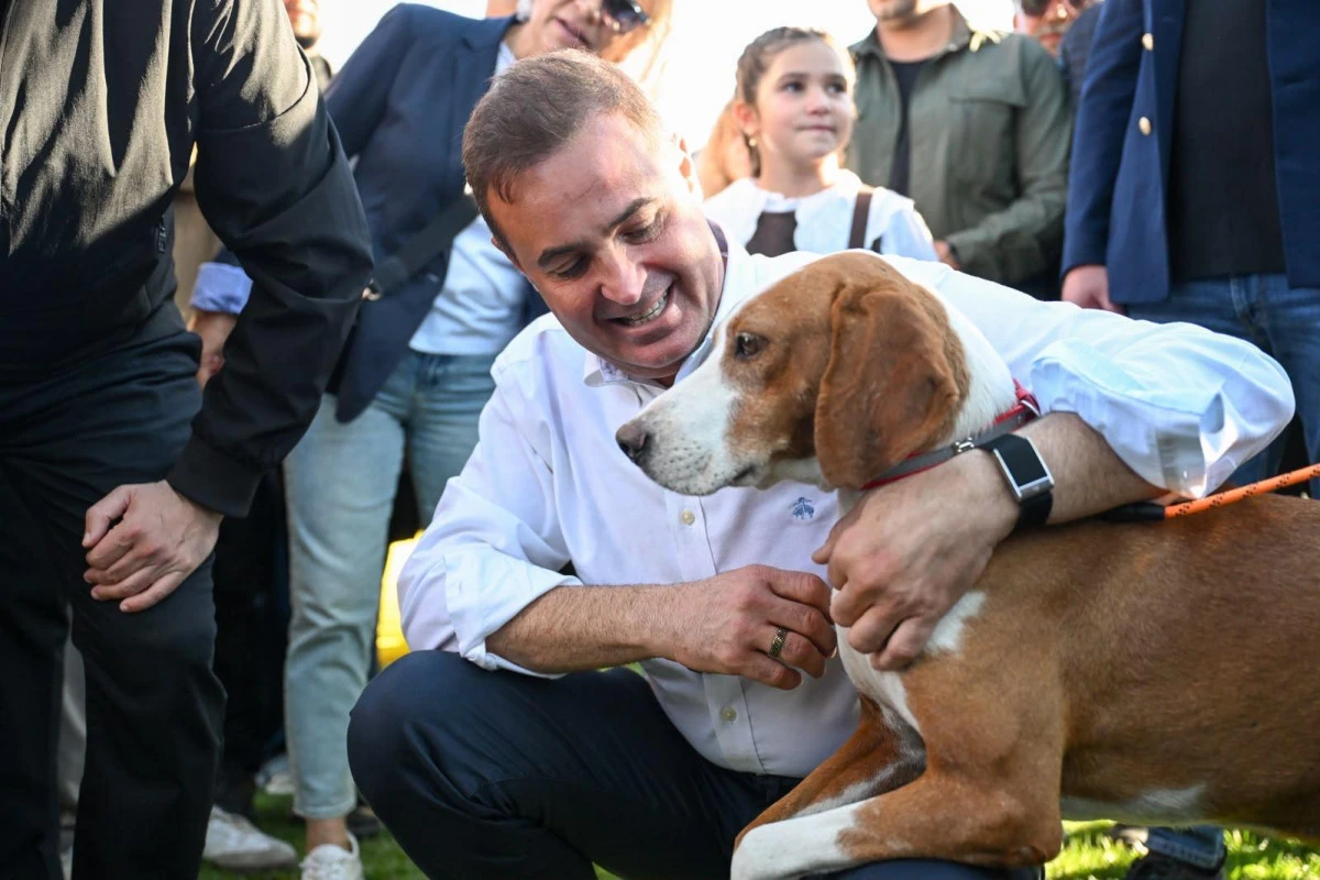 Sevgiyle a&ccedil;ılan sıcak bir yuva bir canın b&uuml;t&uuml;n hayatını değiştirebiliyor