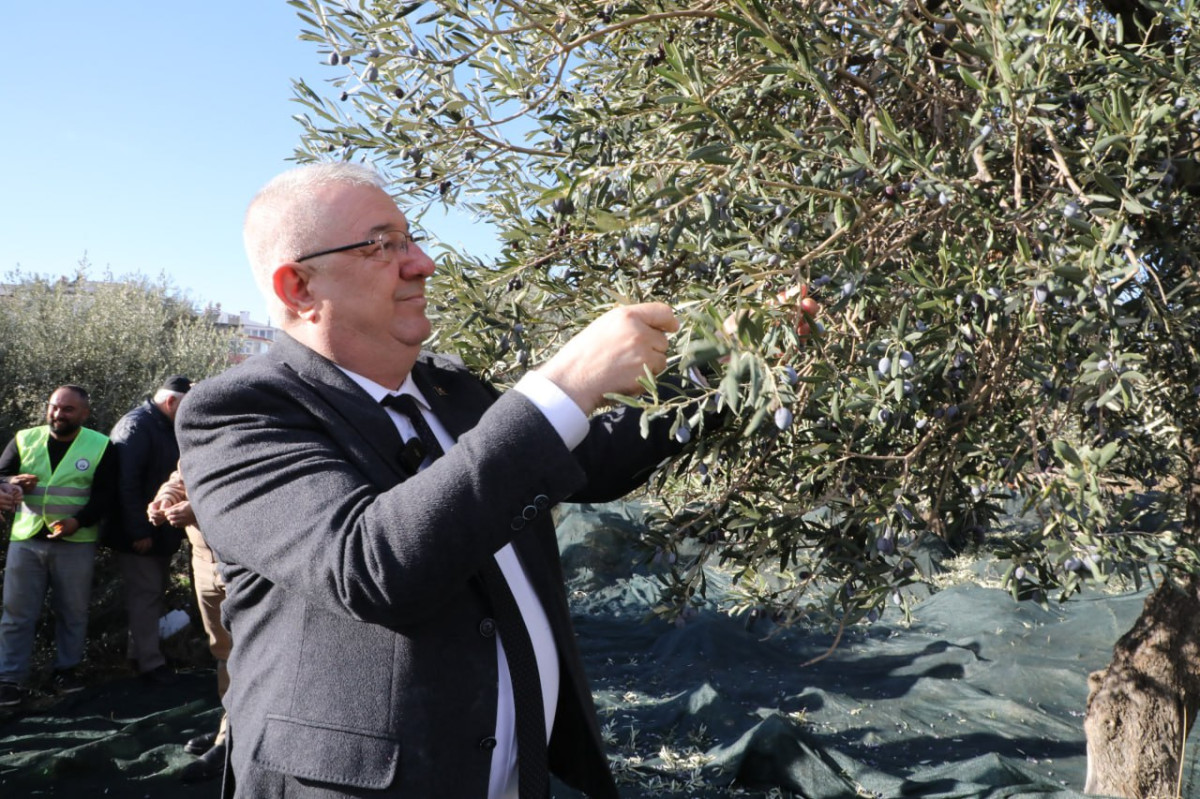 “Tek bir zeytin tanesi heba olmuyor”