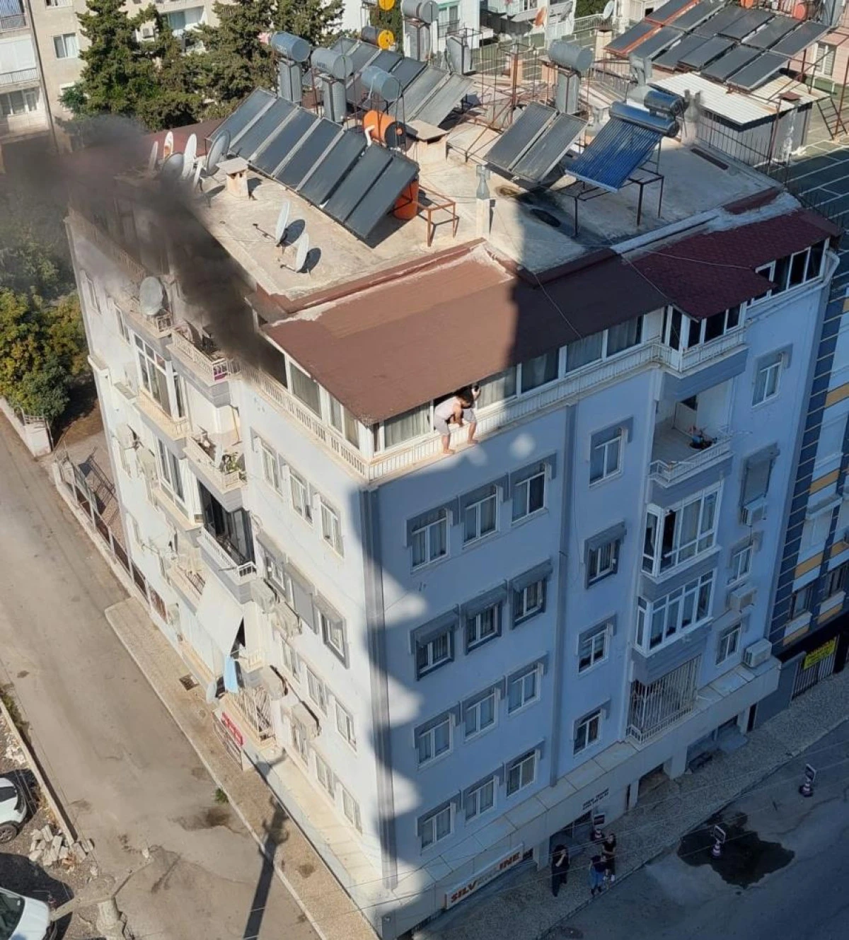 Terasta Can Pazarı 